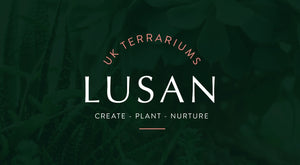 All about Lusan