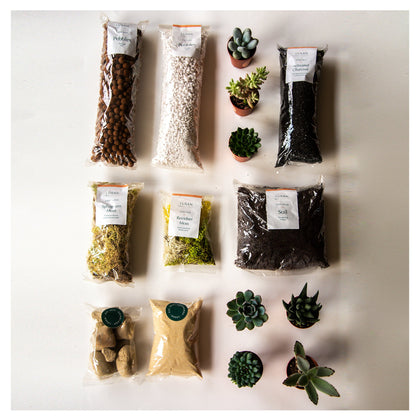 Terrarium Kits without Containers