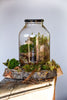 DIY Terrarium Kit in a Jar