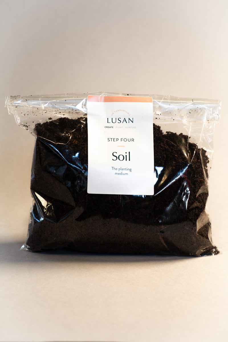 Soil UK Terrariums Lusan