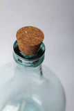 Complete - Open Bottle Garden Terrarium Kit: Desert Edition