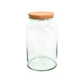 Complete Corked Lid Terrarium Kit (S, M, L Sizes available)