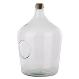 Complete - Open Bottle Garden Terrarium Kit: Desert Edition