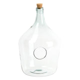 Complete - Open Bottle Garden Terrarium Kit: Desert Edition
