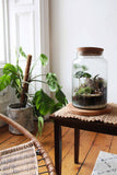 Complete Corked Lid Terrarium Kit (S, M, L Sizes available)