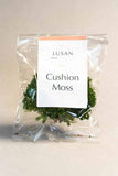 Cushion Moss