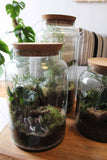 Complete Corked Lid Terrarium Kit (S, M, L Sizes available)