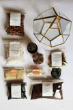 COMPLETE Cactus/Succulent Hexagonal Pentagon Terrarium Kit