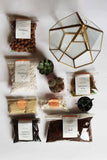 COMPLETE Cactus/Succulent Hexagonal Pentagon Terrarium Kit