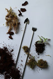 DIY Terrarium Kit in a Jar