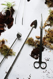terrarium tools with soil, moss and plants