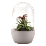 Dome by Lusan: Self-Sustaining Ecosystem