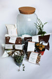 Complete Corked Lid Terrarium Kit (S, M, L Sizes available)