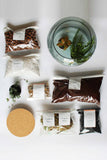 Complete Corked Lid Terrarium Kit (S, M, L Sizes available)
