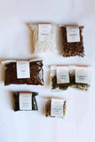 Moss Terrarium Kit (S - L sizes available)