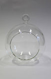 Hanging Bauble Terrarium Kit