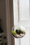 Hanging Bauble Terrarium Kit