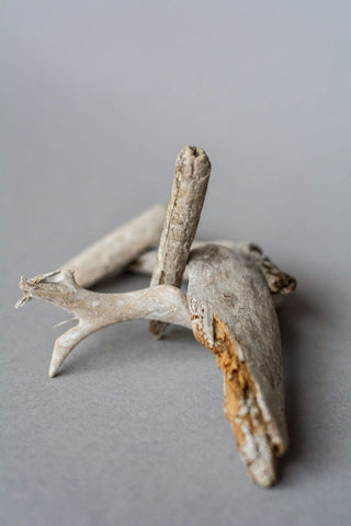 Blanched driftwood (5)