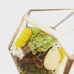 DIY Kit: COMPLETE Autumn Theme Moss Terrarium Kit