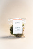 Carpet Moss