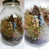 DIY Terrarium Kit in a Jar