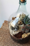 Complete - Open Bottle Garden Terrarium Kit: Desert Edition