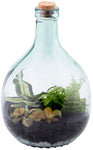 5L Bottle Garden Terrarium Substrate Kit