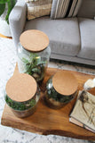 Terrarium Vase with Cork Lid (S, M, L Sizes available)