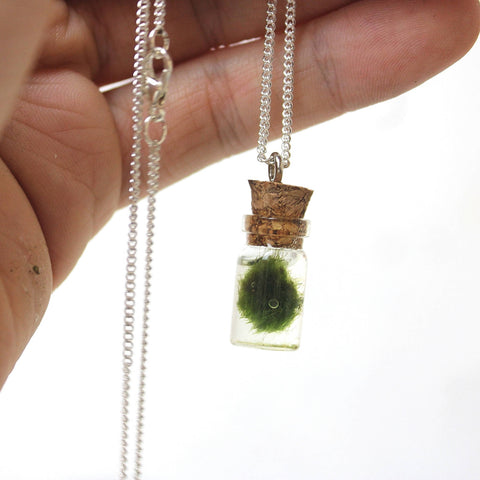 Marimo Moss Necklace [UK-Wide Shipping Available]