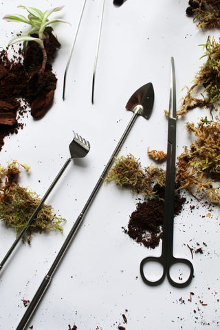 plant terrarium tools Terrarium Tool Set: Trio – UK Terrariums Lusan
